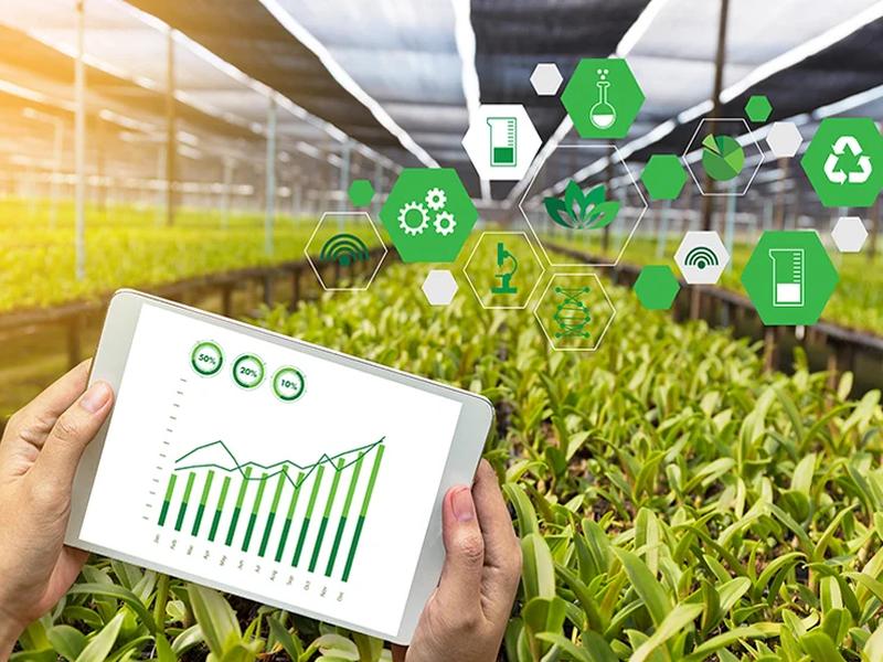 Chatgpt In Agriculture: Relevance And Concerns