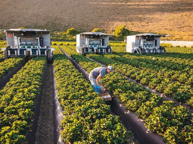 Automation Makes A Difference In Farming