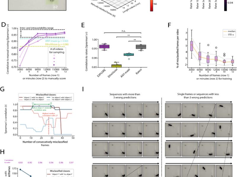 Explore: A Novel Deep Learning-based Analysis Method For Exploration Behaviour In Object Recognition Tests