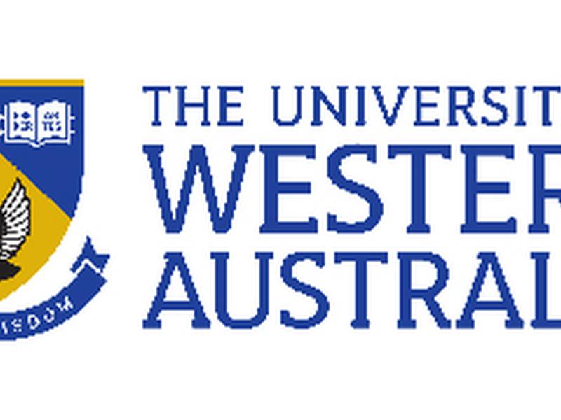Lecturer, Cyber Security