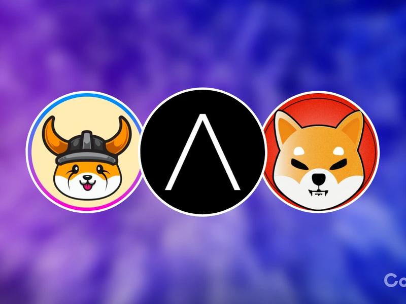 Why Floki, Shiba Inu, And Avorak Ai Could Be Solid Portfolio Picks For 2023