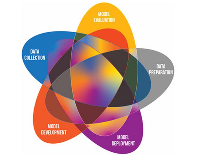 Roadmap To Fair Ai: Revealing Biases In Ai Models For Medical Imaging