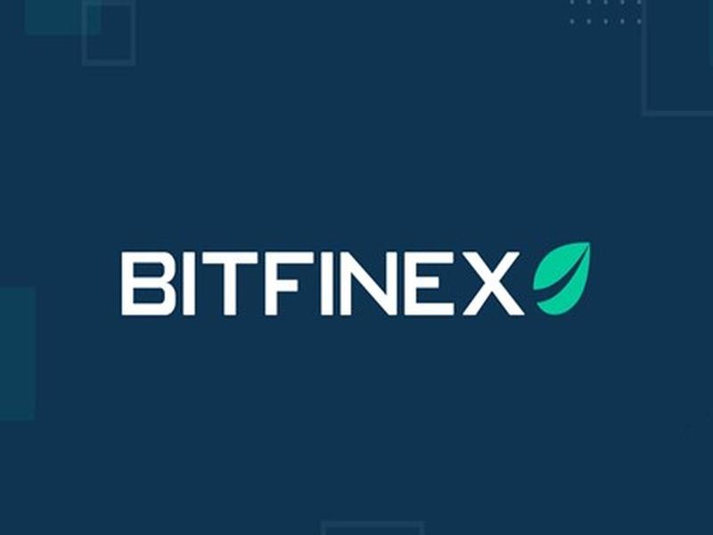 Bitfinex Launches Programming Training Camp In Collaboration With Penguin Academy