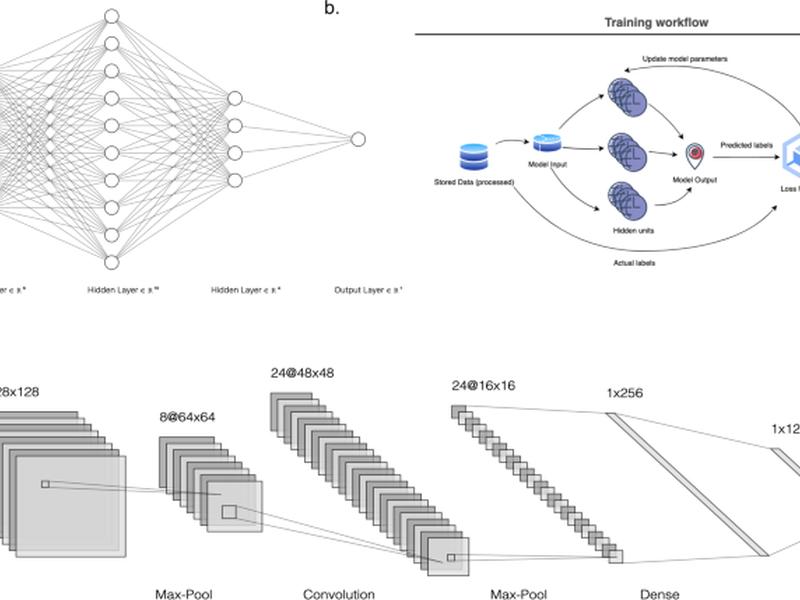 Biological Insights And Novel Biomarker Discovery Through Deep Learning Approaches In Breast Cancer Histopathology