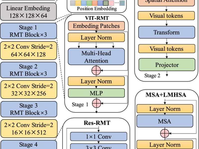 A Covid-19 Medical Image Classification Algorithm Based On Transformer