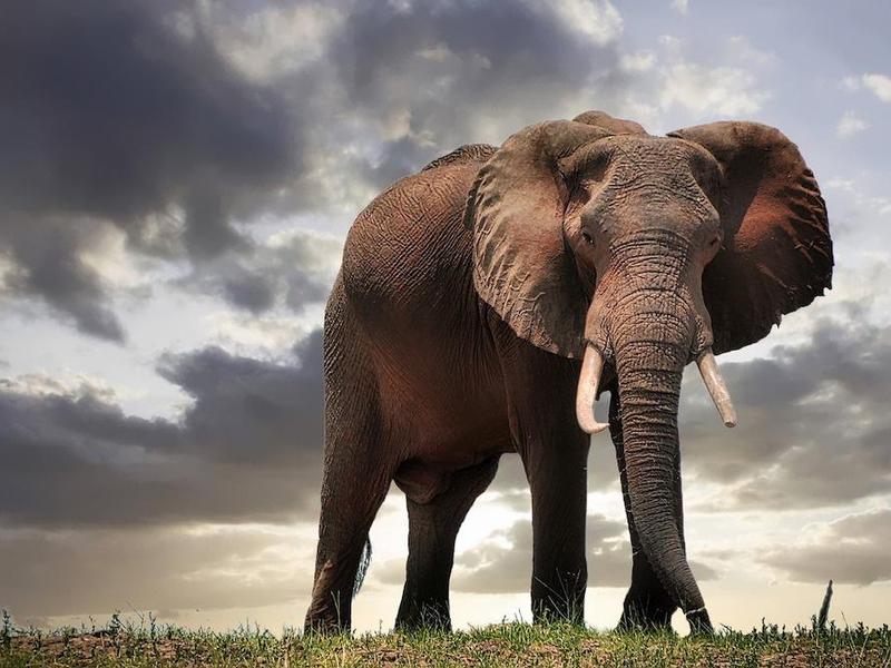 Google Brings Postgresql-compatible Alloydb To Multicloud, Data Centers And The Edge