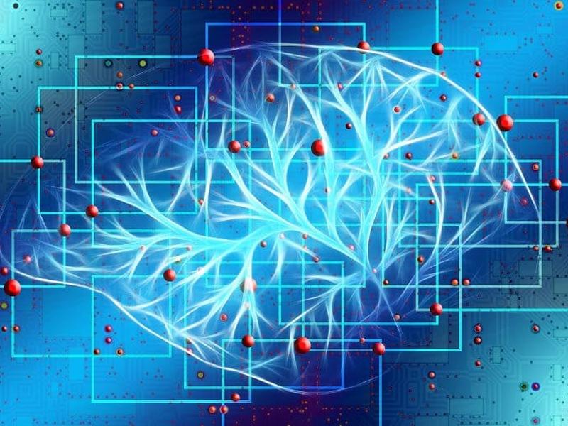 Machine Learning Models Rank Predictive Risks For Alzheimer’s Disease