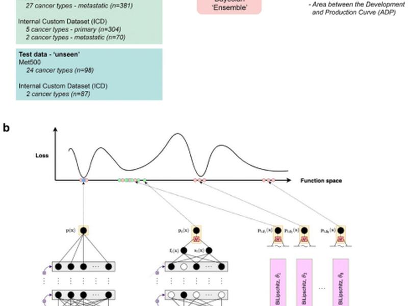 Generalising Uncertainty Improves Accuracy And Safety Of Deep Learning Analytics Applied To Oncology