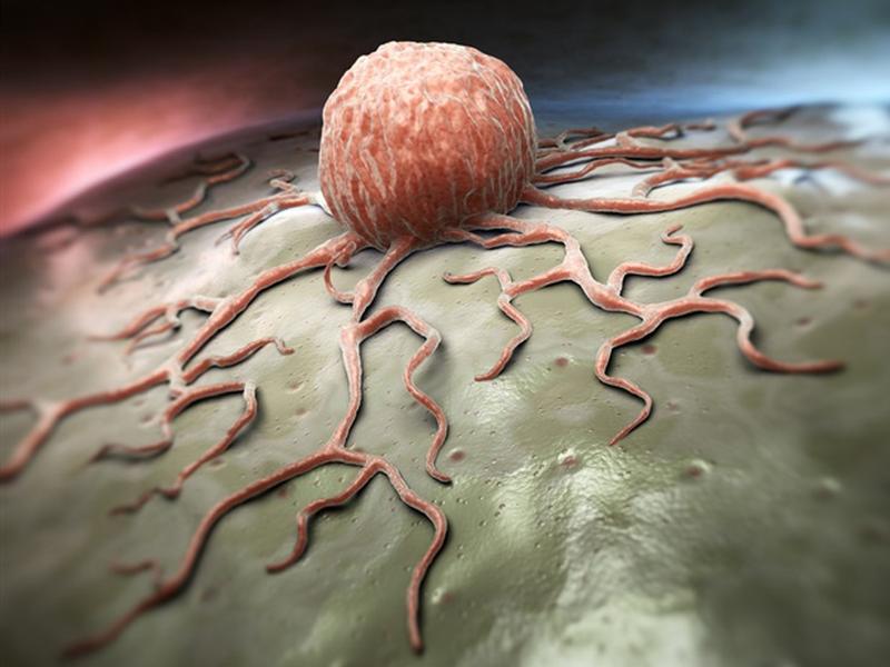 Wistar Scientists Uncover A Key Mechanism As To How P53 Suppresses Tumors