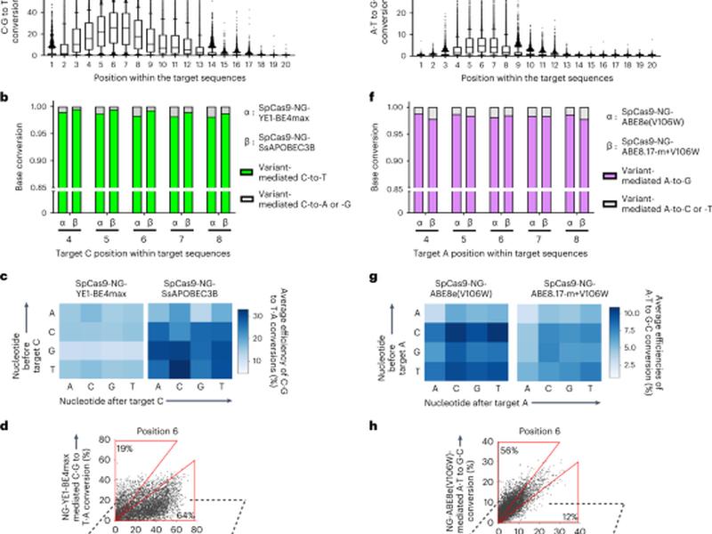 Deep Learning Models To Predict The Editing Efficiencies And Outcomes Of Diverse Base Editors