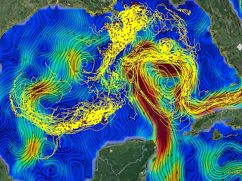 Machine Learning Makes Waves: A Better Way To Study Ocean Currents