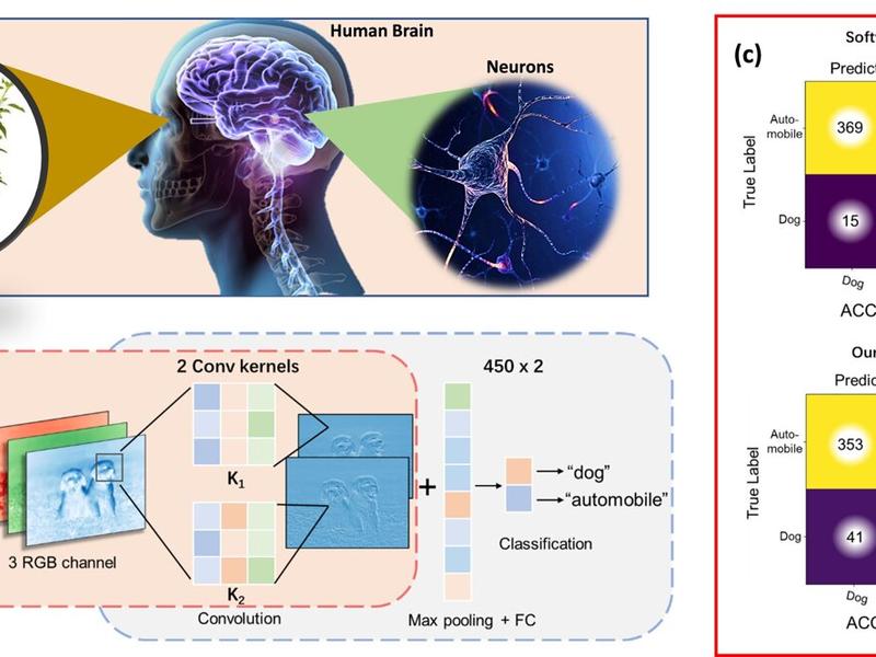 An Artificial Visual Perception Nervous System Using A Solution-processable In-memory Light Sensor