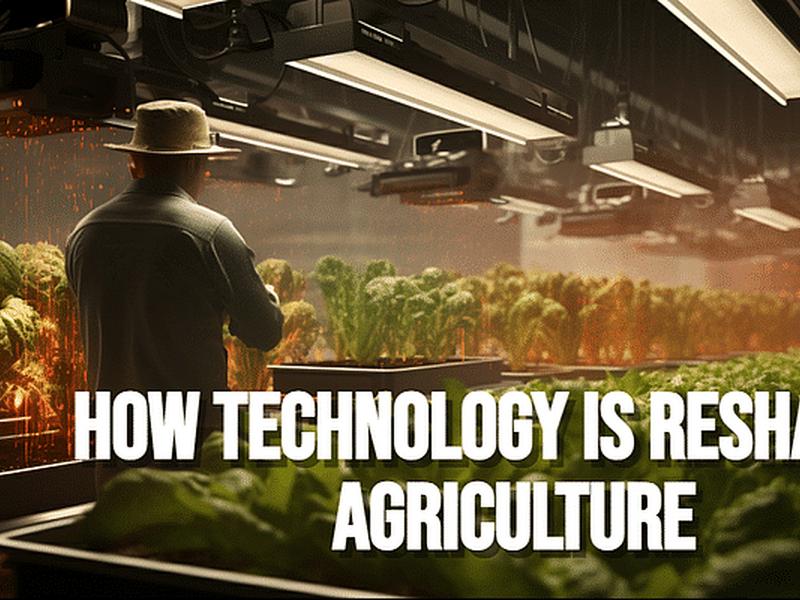 8 Ways Technology Is Revolutionizing Agriculture: A Farming Transformation