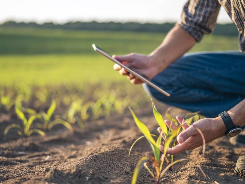 How Ai And The Green Economy Are Impacting Career Opportunities