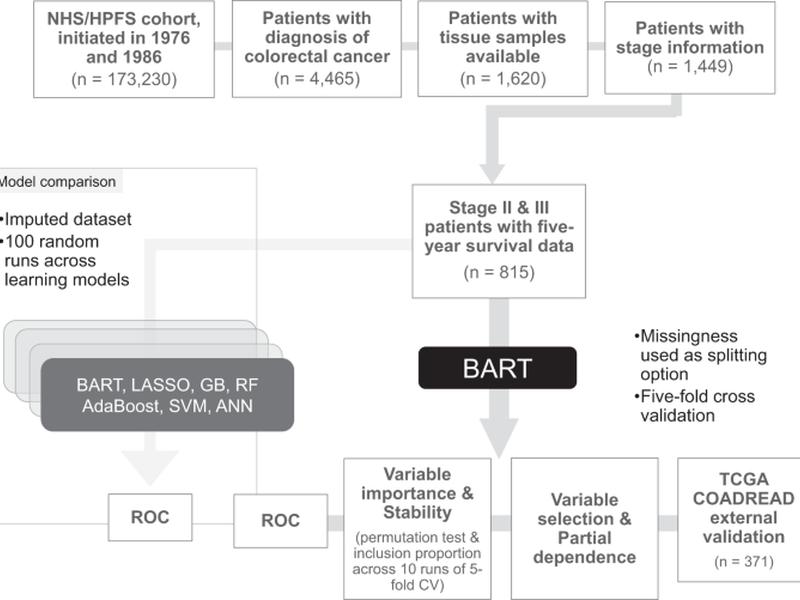 Bayesian Risk Prediction Model For Colorectal Cancer Mortality Through Integration Of Clinicopathologic And Genomic Data