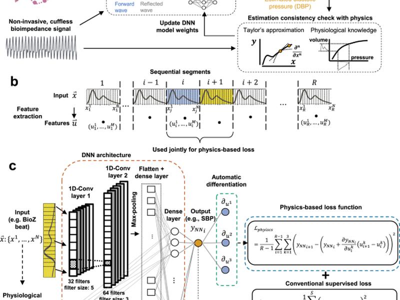 Physics-informed Neural Networks For Modeling Physiological Time Series For Cuffless Blood Pressure Estimation