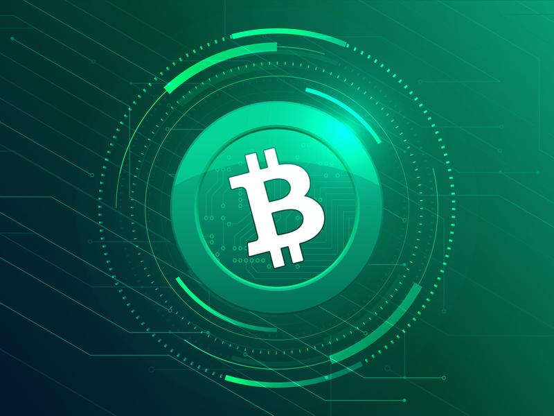 Bitcoin Cash Price Prediction: An Algorithmic Approach To Price Prediction