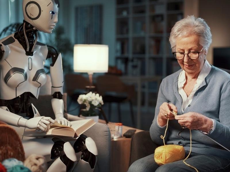 Robot Companions In Care Homes: The Future Of Elderly Care