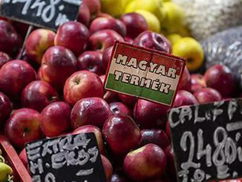Digital Innovation And Crop Health Solutions Paramount To Boost Fruit Productivity