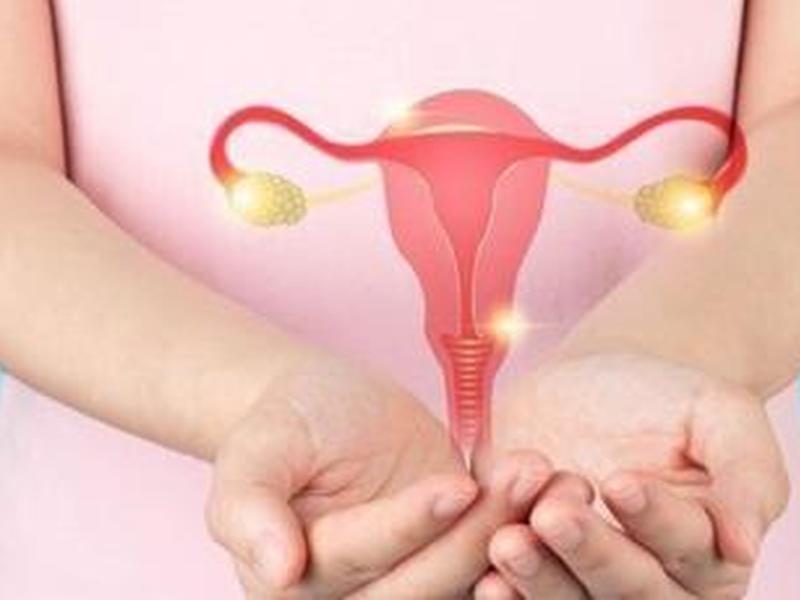Artificial Intelligence Has High Performance For Detecting Pcos