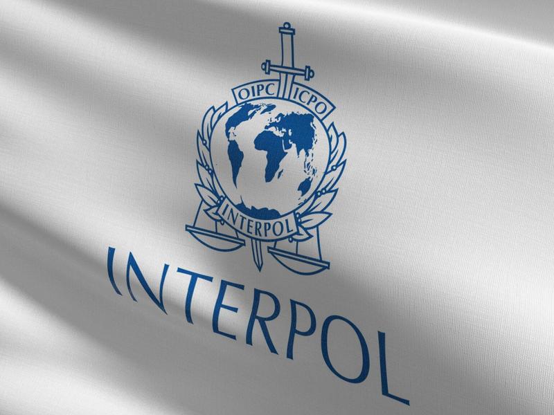 Interpol Plans Big Data And Biometrics Platform To Give Police Predictive Analytics