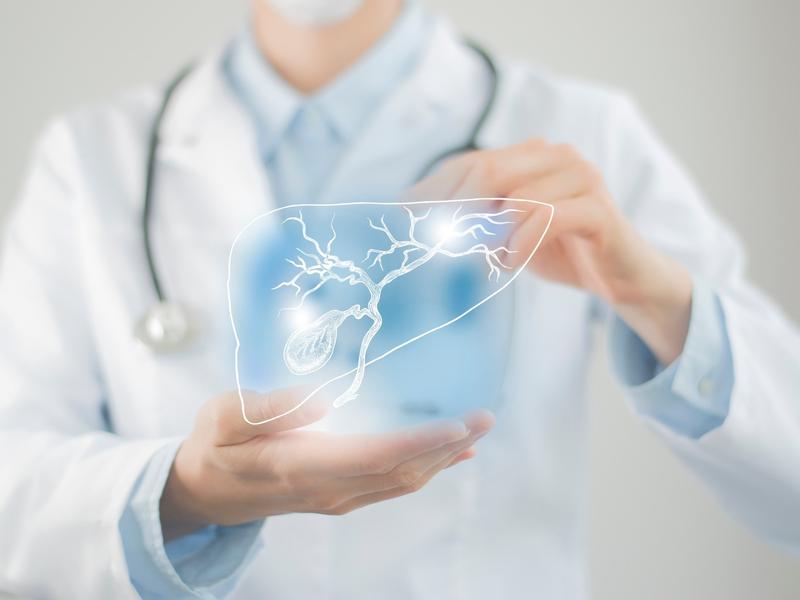 Robust Detection Of Gallbladder Cancer Using Deep-learning-assisted Us Imaging