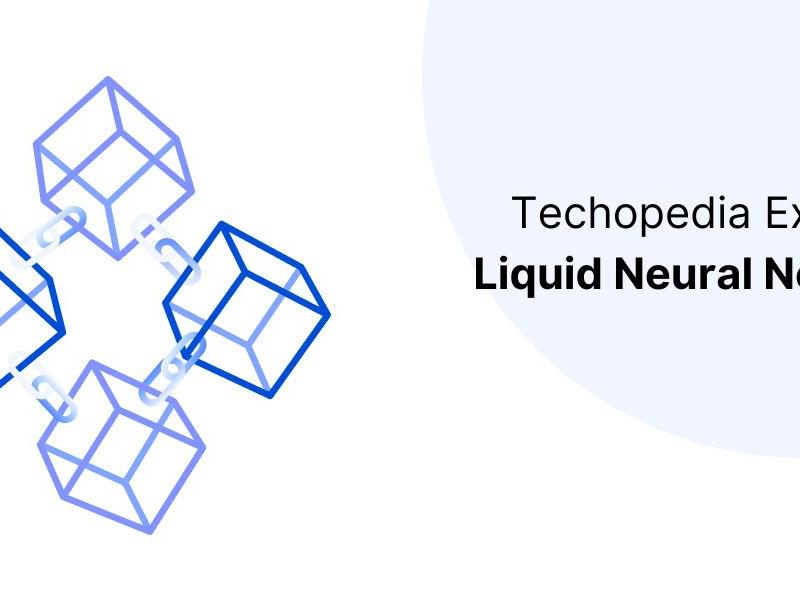 Liquid Neural Network (lnn)