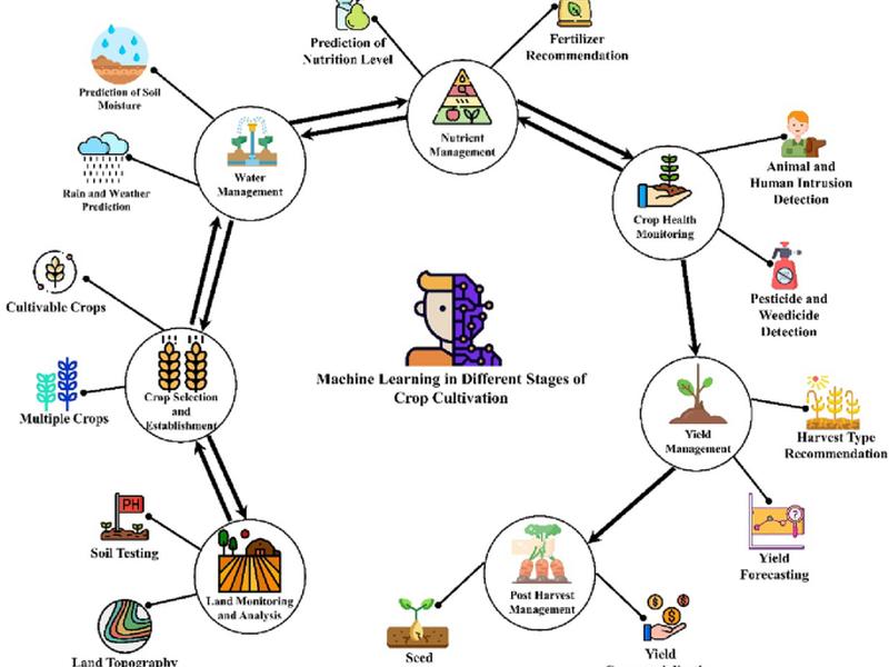Machine Learning-based Optimal Crop Selection System In Smart Agriculture
