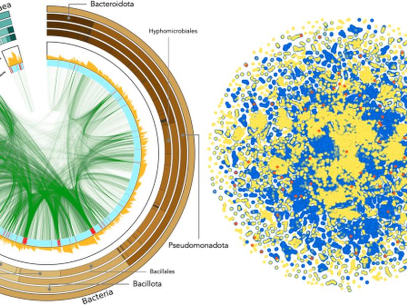 Homologous Pairs Of Low And High Temperature Originating Proteins Spanning The Known Prokaryotic Universe