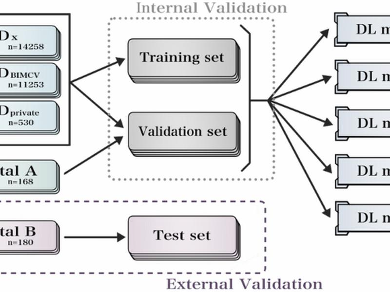 Computer-aided Diagnosis Of Chest X-ray For Covid-19 Diagnosis In External Validation Study By Radiologists With And Without Deep Learning System