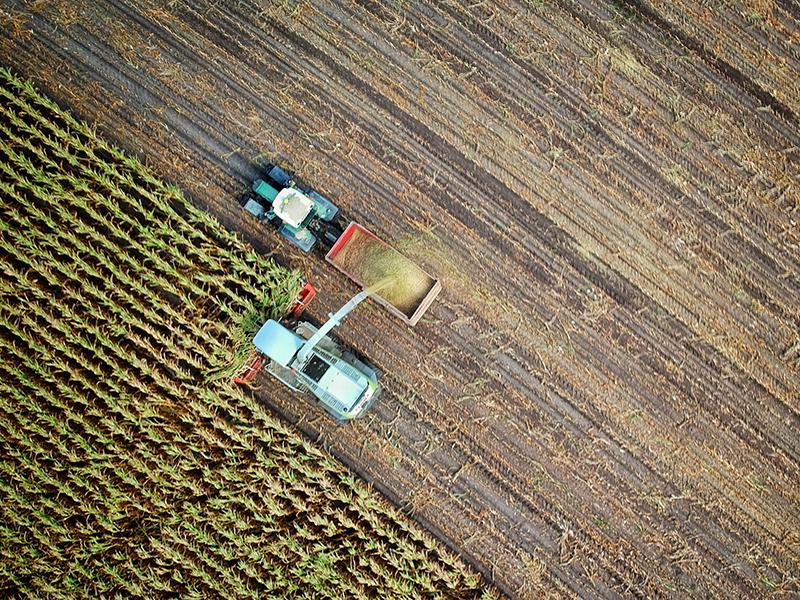 How Internet Of Things Could Help Stave Off A Food Crisis