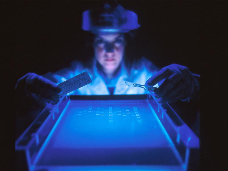 Deep Learning Overcomes Nanoparticle Shape Identification Challenges