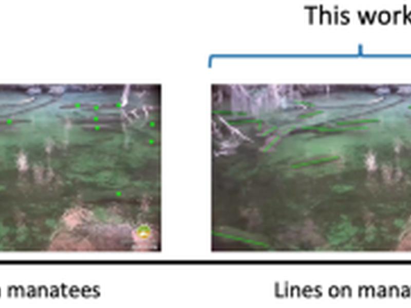 Counting Manatee Aggregations Using Deep Neural Networks And Anisotropic Gaussian Kernel