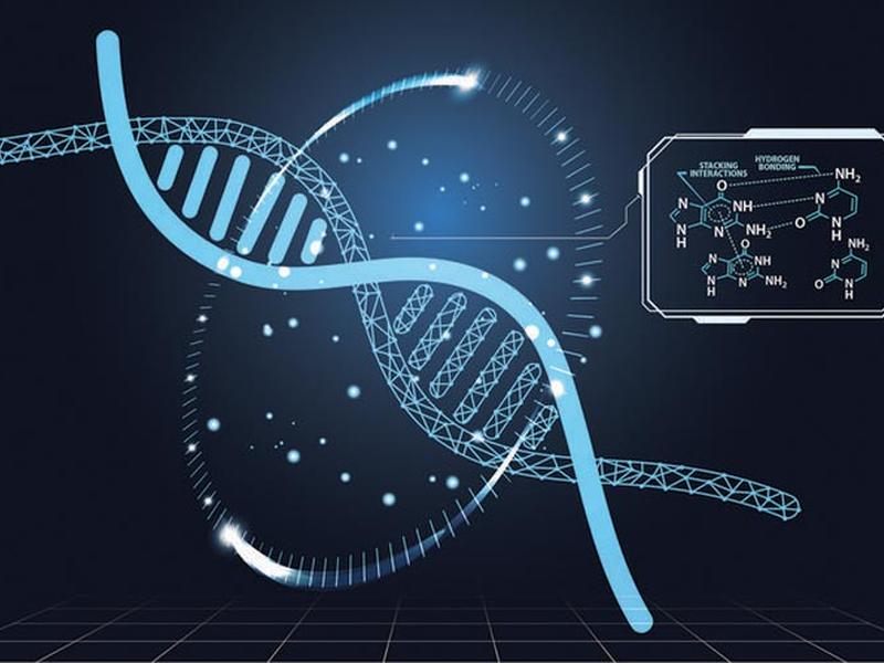 Scientists Use Quantum Biology, Ai To Sharpen Genome Editing Tool