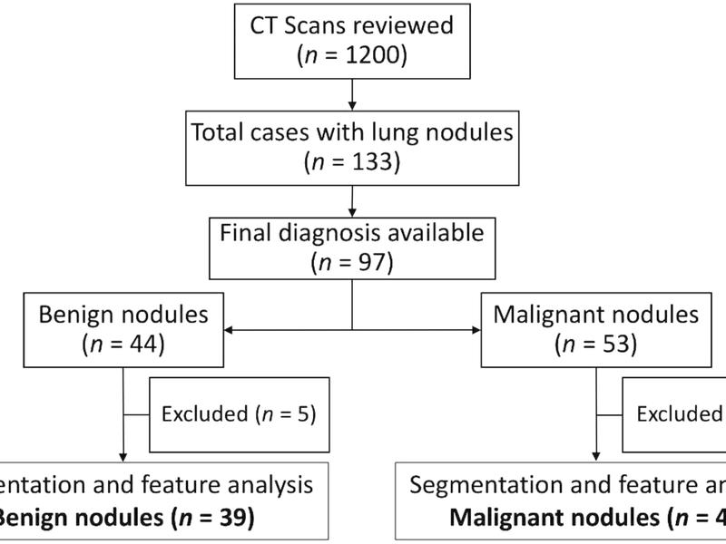 Radiomics As A Non-invasive Adjunct To Chest Ct In Distinguishing Benign And Malignant Lung Nodules