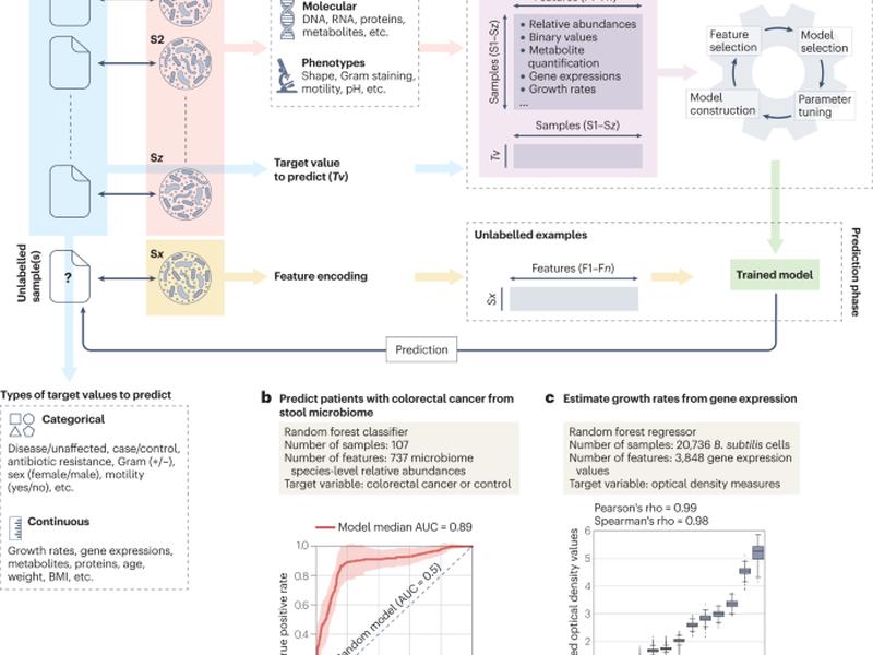 Machine Learning For Microbiologists