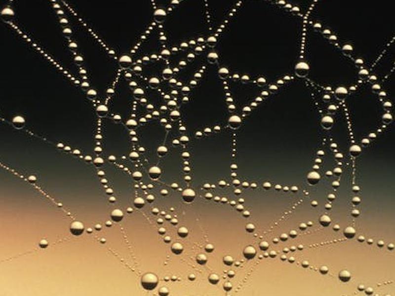 An In-depth Look At Amazon Web Services (aws)