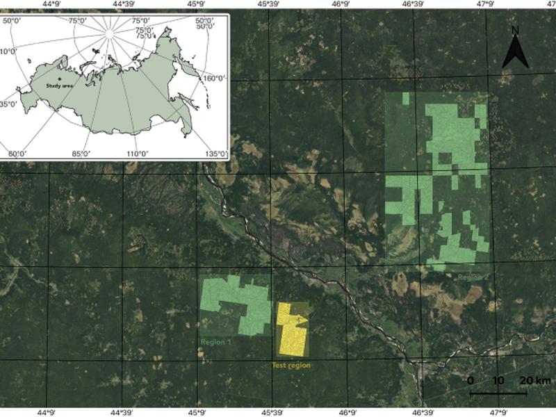 Forest Age Estimation In Northern Arkhangelsk Region Based On Machine Learning Pipeline On Sentinel-2 And Auxiliary Data