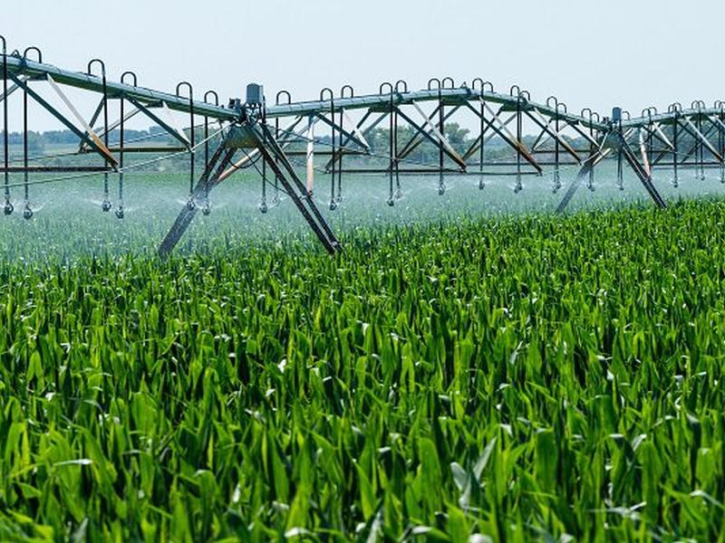 The Impact Of Artificial Intelligence In Agriculture