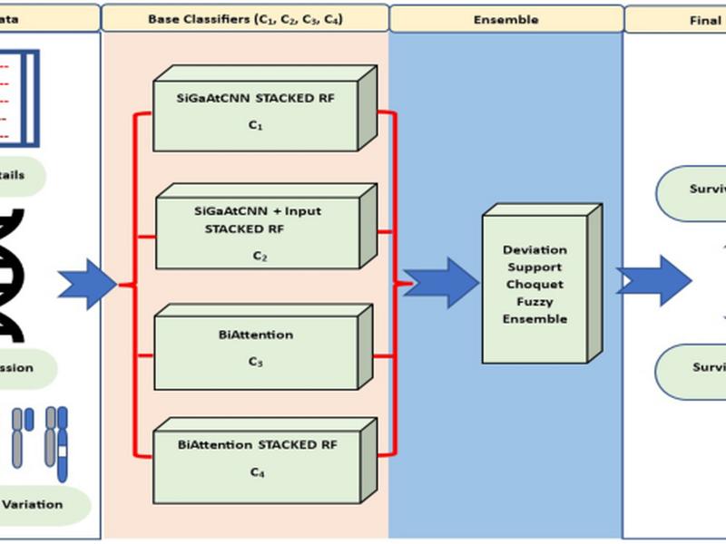 Deviation-support Based Fuzzy Ensemble Of Multi-modal Deep Learning Classifiers For Breast Cancer Prognosis Prediction