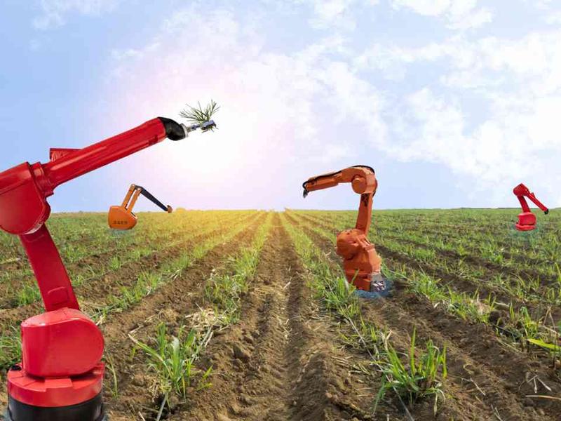 Iot Applications In Smart Agriculture