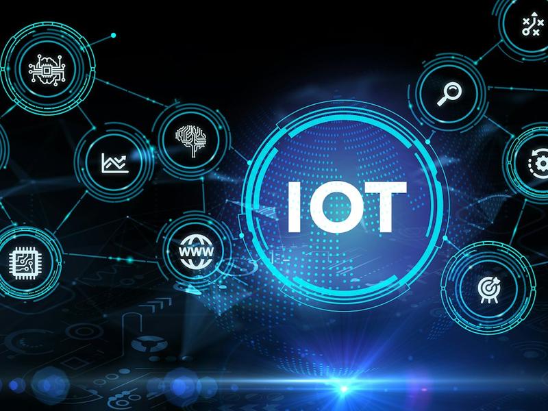 Iot Can Help Produce Real-time Data For Poultry Producers
