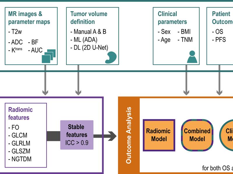 Quantitative Mri-based Radiomics Analysis Identifies Blood Flow Feature Associated To Overall Survival For Rectal Cancer Patients