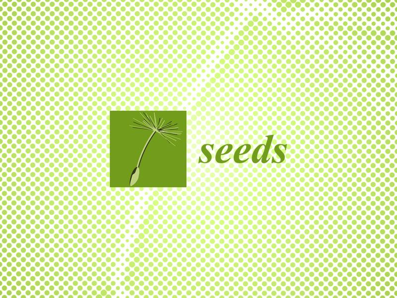 Application Of Imaging And Artificial Intelligence In Seed Research
