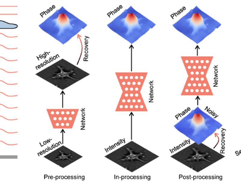On The Use Of Deep Learning For Phase Recovery