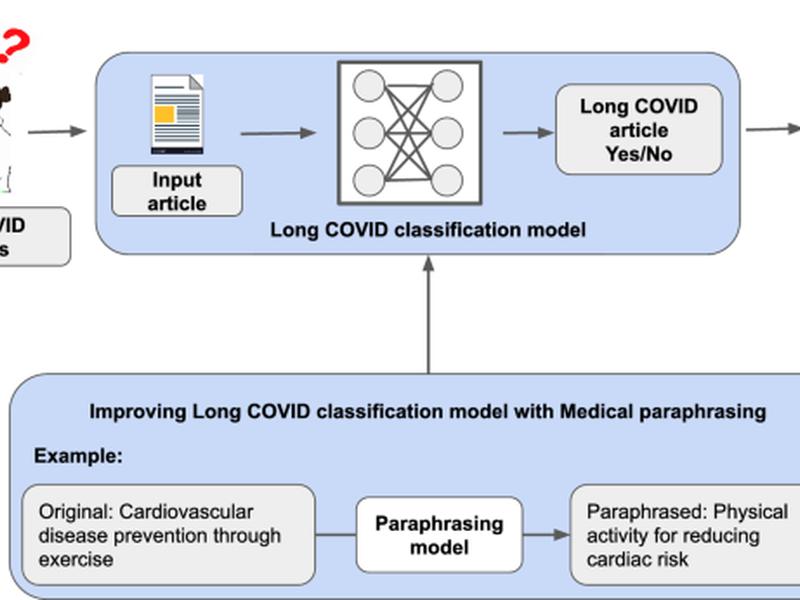 Improving Long Covid-related Text Classification: A Novel End-to-end Domain-adaptive Paraphrasing Framework