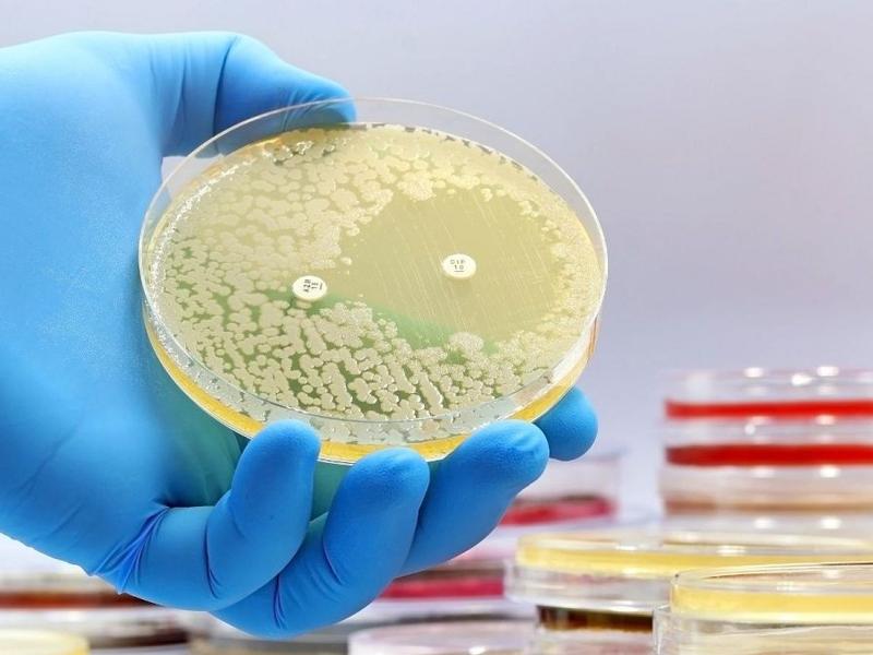 Scientists Discover First New Antibiotics In Over 60 Years Using Ai