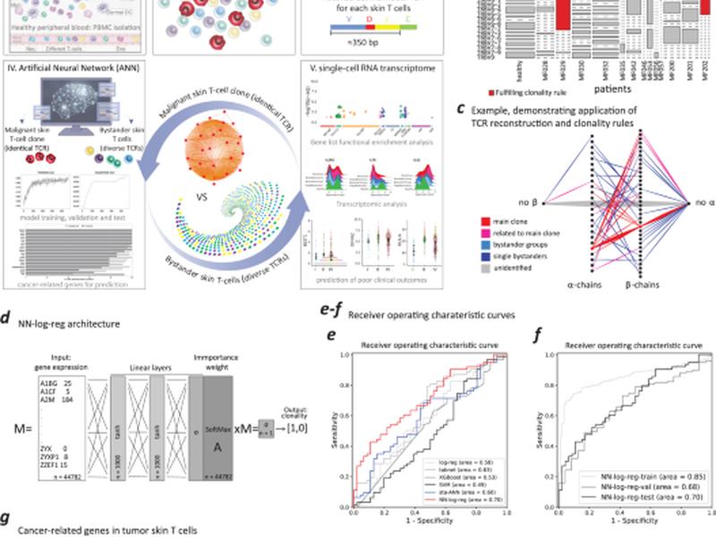 Mhc-i Upregulation Safeguards Neoplastic T Cells In The Skin Against Nk Cell-mediated Eradication In Mycosis Fungoides