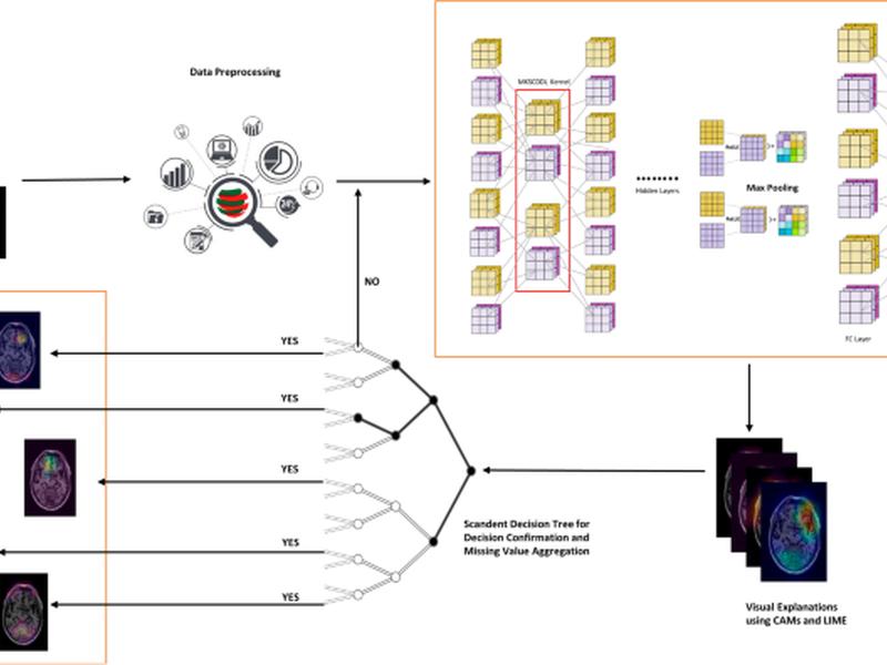 Multimodal Classification Of Alzheimer’s Disease And Mild Cognitive Impairment Using Custom Mkscddl Kernel Over Cnn With Transparent Decision-making For Explainable Diagnosis