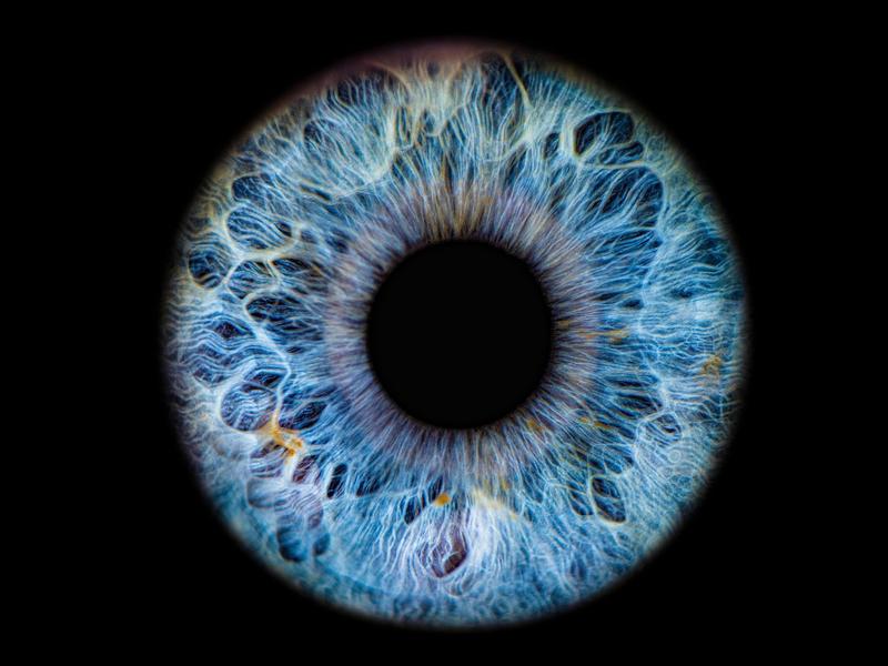 Deep Learning Shines A New Light On Parkinson’s Detection Through The Eye